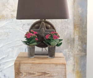 Kalanchoe w nowoczesnej dekoracji