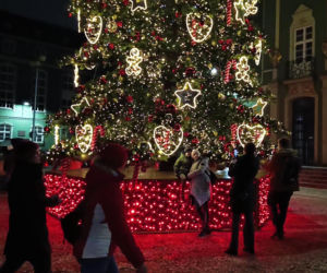 Choinka przed urzędem miasta w Szczecinie