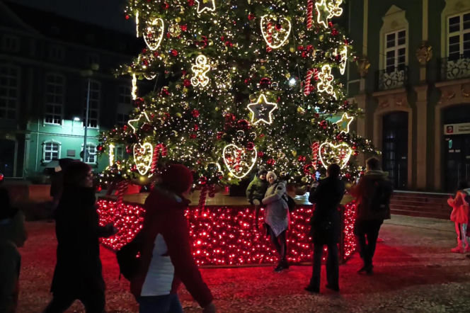 Choinka przed urzędem miasta w Szczecinie