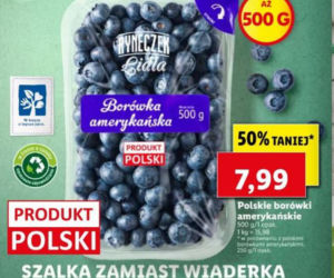 Dobre promocje w Lidlu