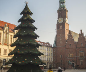 Nowa choinka na Rynku we Wrocławiu