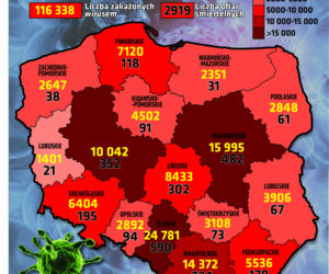 Zakażenia koronawirusem w Polsce - 9.10.2020