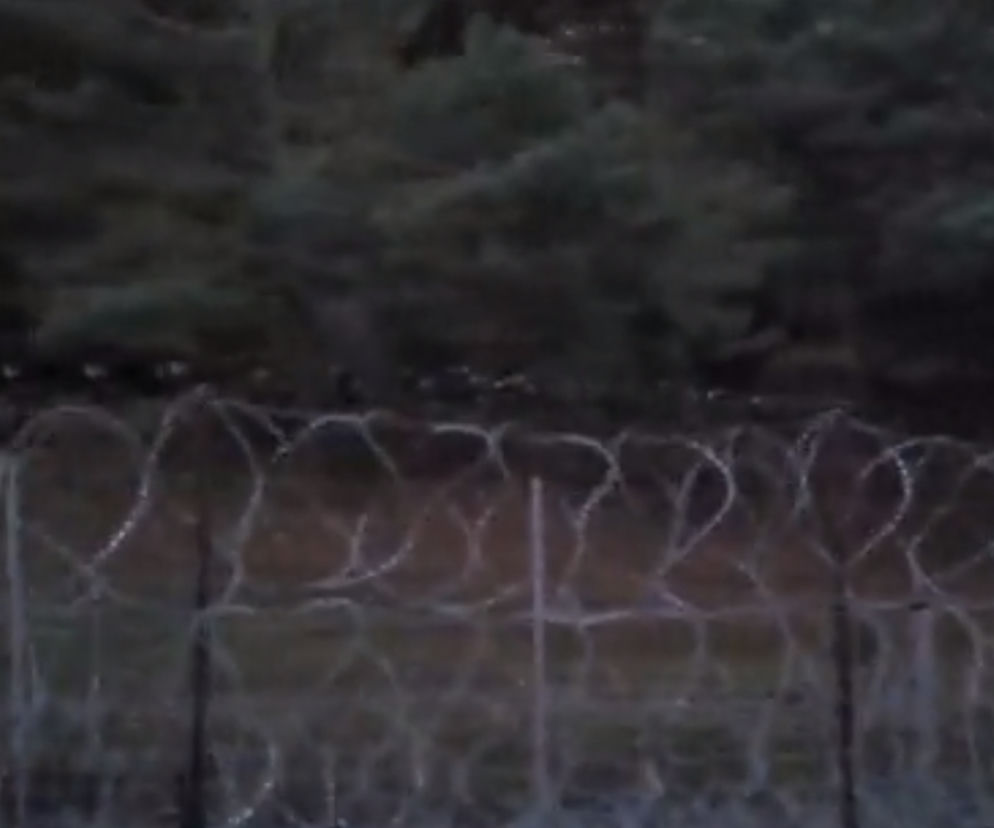 Kuźnica. Białorusini zmierzają do obozowiska migrantów? Co się stanie? MON pokazało wideo