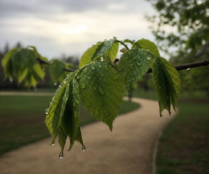 Pogoda na weekend w Białymstoku 27-29 marca. Po pochmurnym piątku nadejdzie słoneczna sobota i niedziela