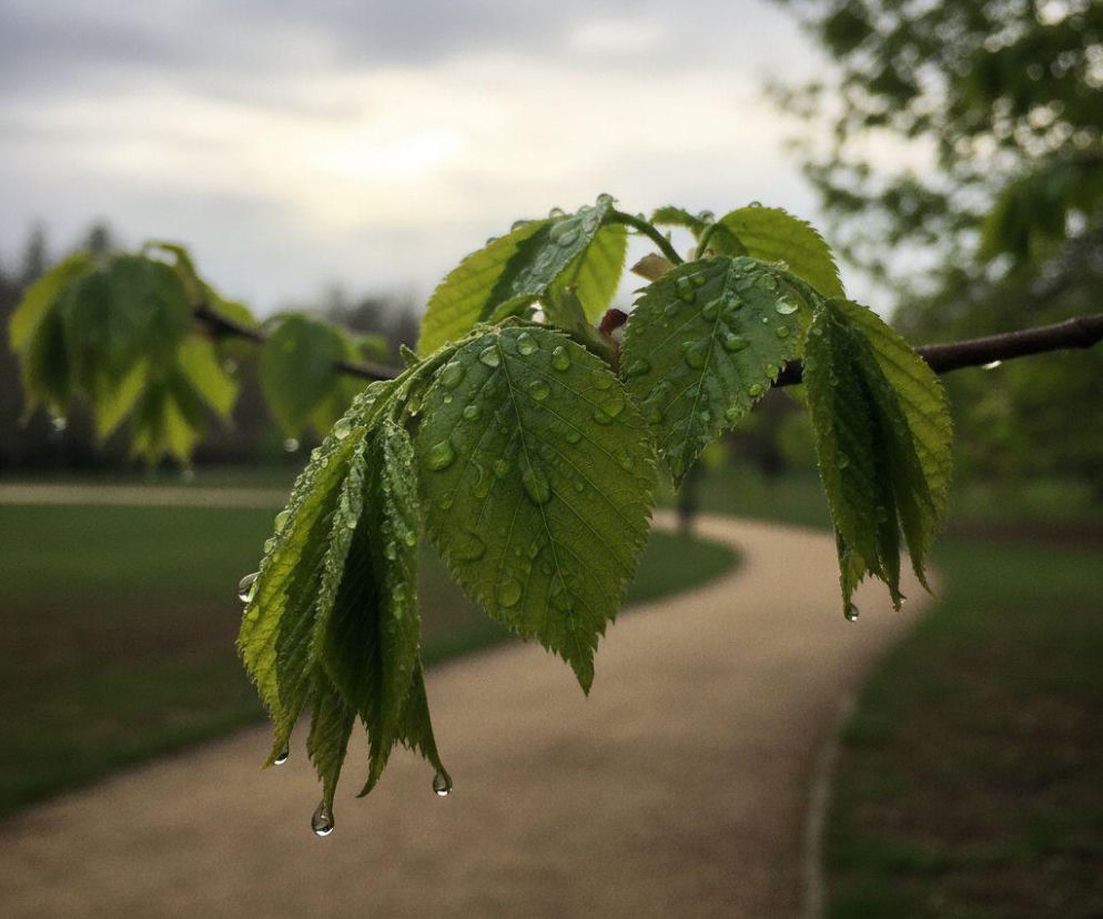 Pogoda na weekend w Białymstoku 27-29 marca. Po pochmurnym piątku nadejdzie słoneczna sobota i niedziela