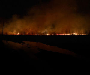 Pożar objął powierzchnię około 11 hektarów nieużytków