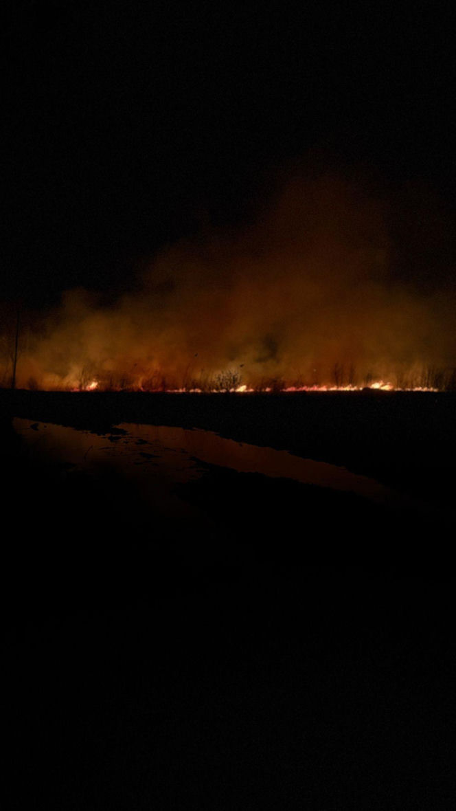 Pożar objął powierzchnię około 11 hektarów nieużytków