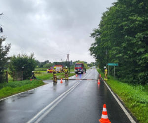 Zalane Nowe Miasto Lubawskie