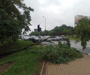 Przez Lublin przeszła potężna nawałnica. Trwa usuwanie jej skutków. 