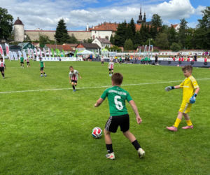 RemarLand Sokolik Cup 2026