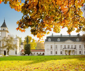 Pałac w Radziejowicach