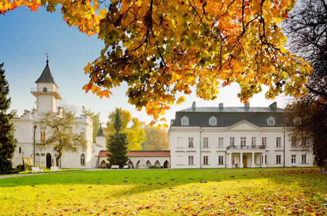 Pałac w Radziejowicach