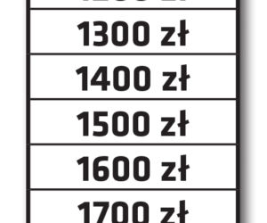 Nowe emerytury w 2022 roku - netto obecnie