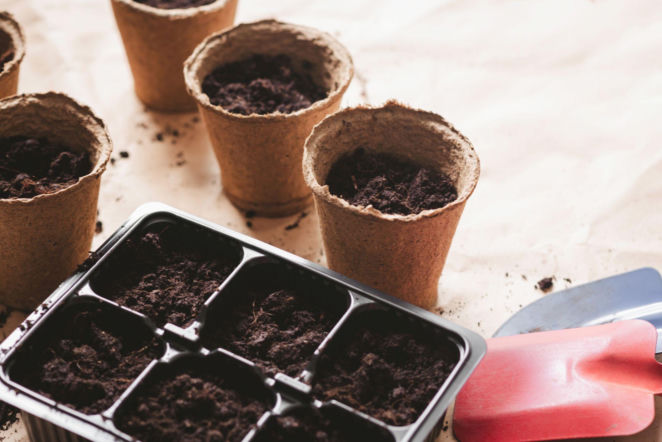 Doniczki do produkcji rozsady