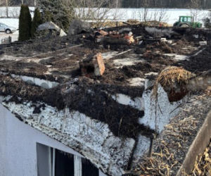 Krowa Diablica zobaczyła ogień i padła na zawał. Jarosław nie może się pozbierać. Miałem ochotę płakać