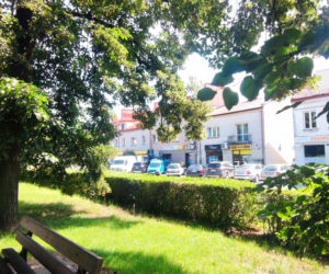 Zielony Rynek w Pińczowie