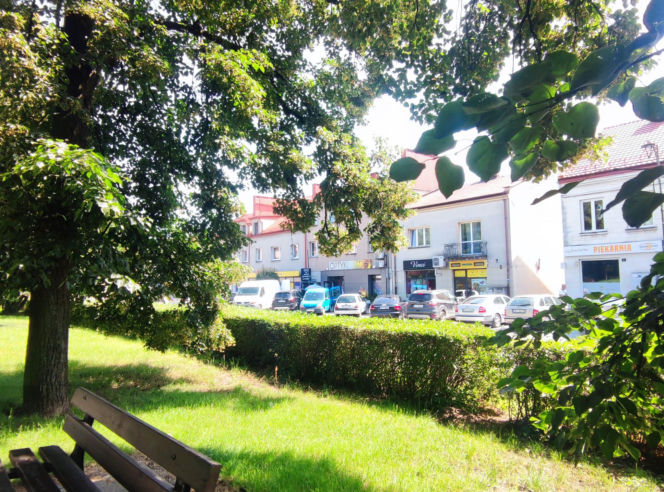 Zielony Rynek w Pińczowie