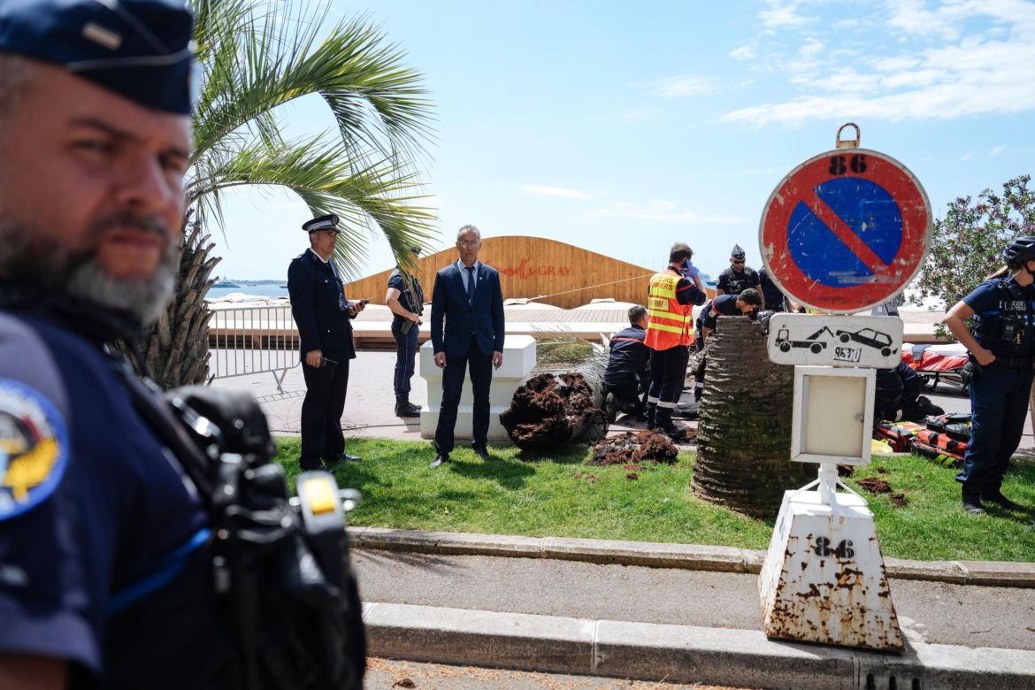 Dramat na festiwalu w Cannes! Producent uderzony przez palmę trafił do szpitala 