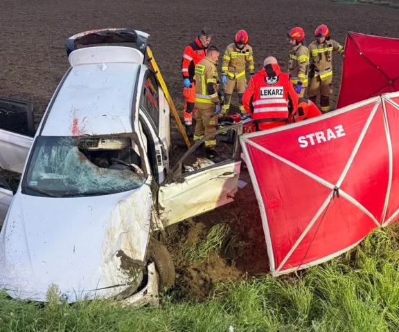 Szok! Sarna wpadła do auta przez szybę, pojazd dachował