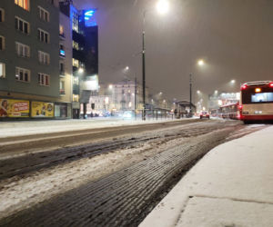 Śnieżyca w Śląskiem. Koszmarne warunki na drogach [ZDJĘCIA]