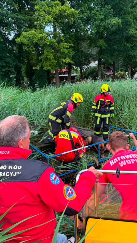 Owczarek czekał na pomoście i błagał o pomoc dla swojego przyjaciela. Piękna historia z Rogoźna