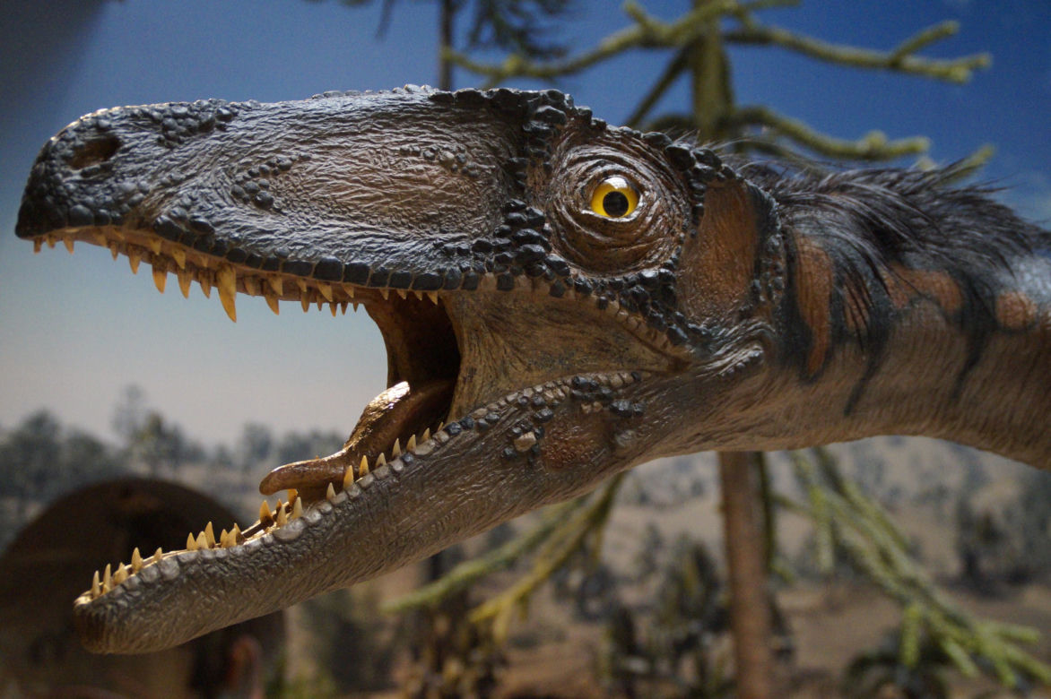 DINOPARK RZESZÓW  