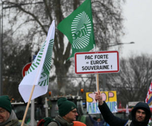 Wielkie protesty rolników w Europie! Zatrzymano Polaków