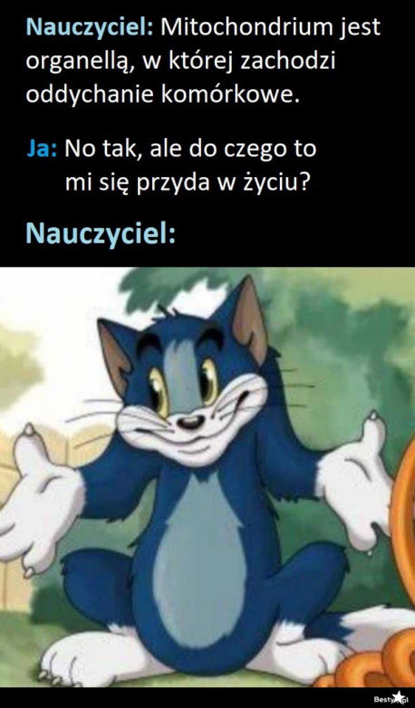 Memy o szkole 2020. Nauka u dobie koronawirusa. Żarty z nowej sytuacji 