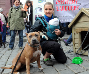Katarzyna Bujakiewicz przykuła dziecko do budy