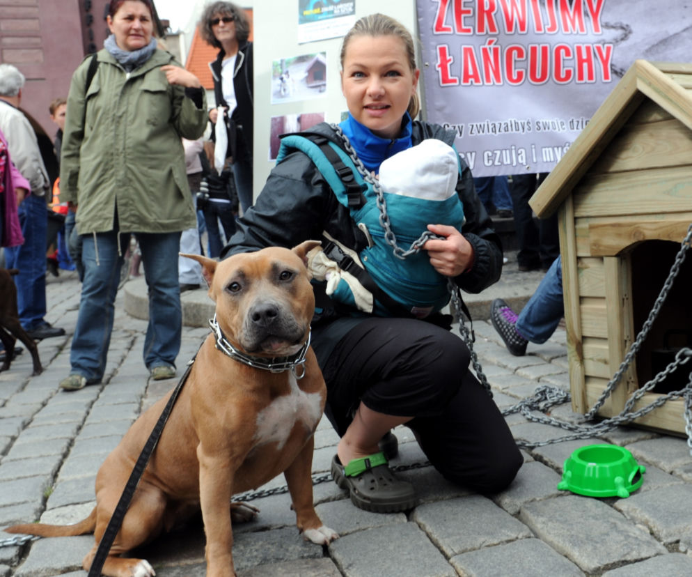 Katarzyna Bujakiewicz przykuła dziecko do budy