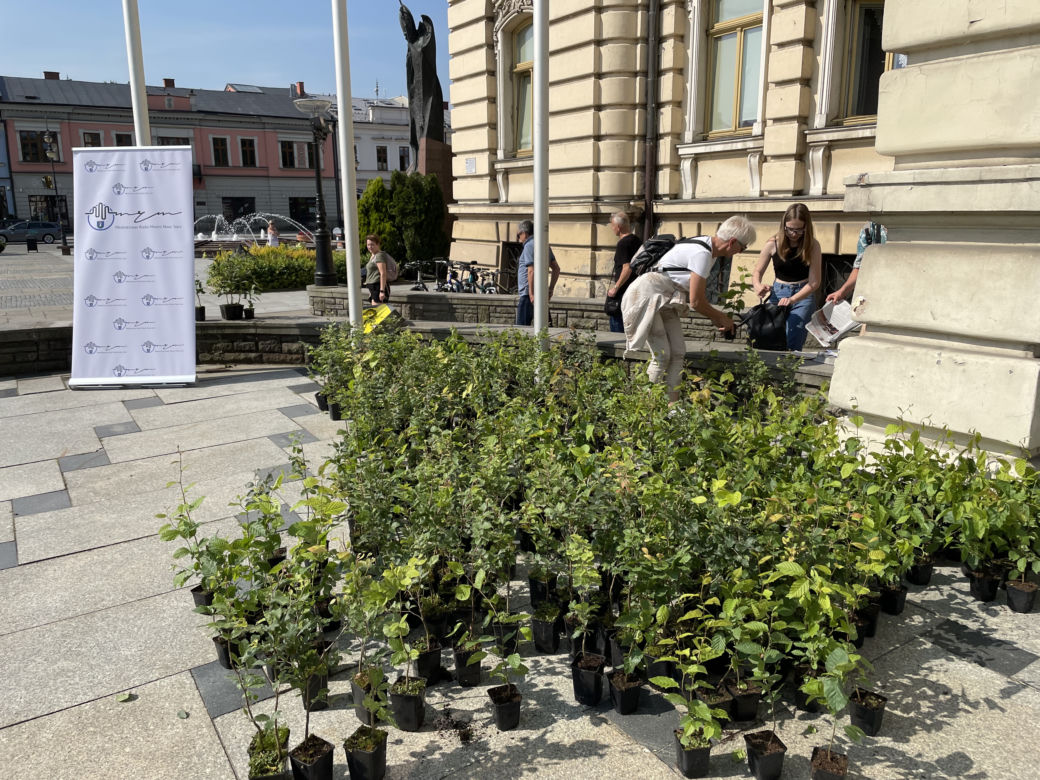 Młodzieżowa Rada Miasta rozdała sadzonki drzew