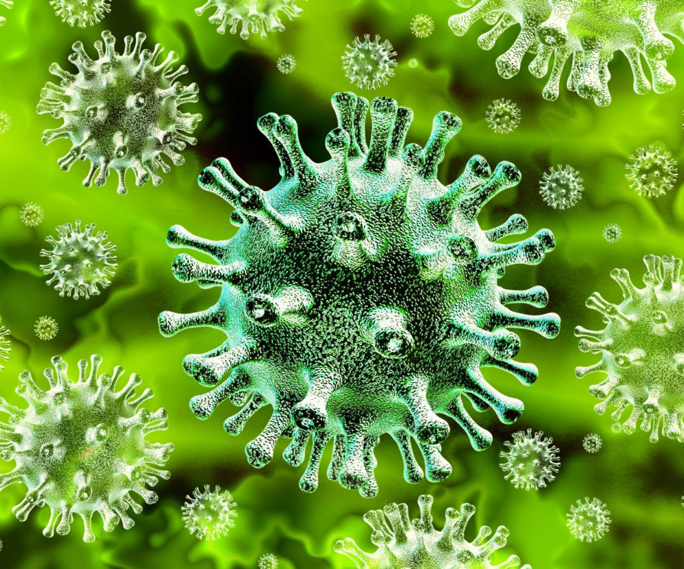 Koronawirus: epidemia w Polsce