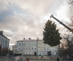 Choinka już stoi na rynku w Gorlicach! WSPANIAŁY świerk mierzy ponad 10 metrów