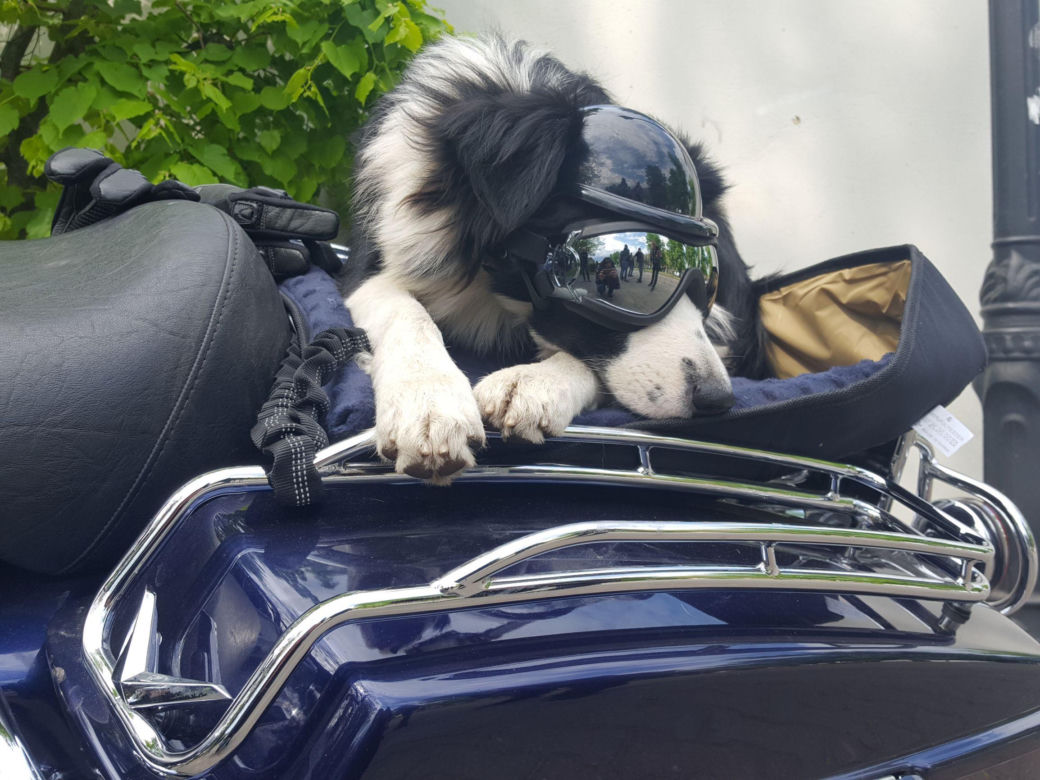 ​Setki motocyklistów na Wiosennym Święceniu Motocykli w Rydzynie