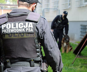 Psy patrolują, ścigają, zatrzymują – rasowi gliniarze