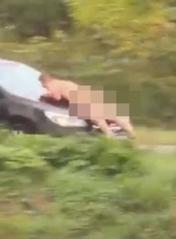 Nagi mężczyzna z maczetą biegał po ulicy! Policjanci użyli paralizatora
