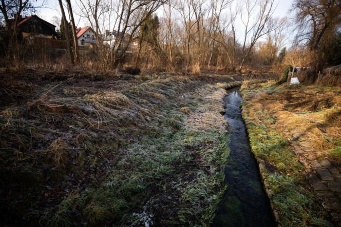 Zabójstwo 11-latki w Jeleniej Górze