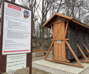Drzewka i rekreacja na Barbarce