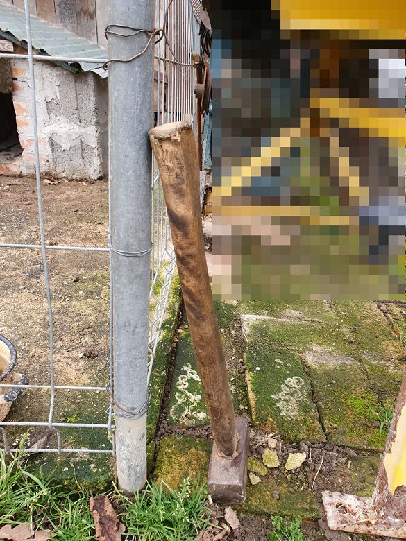 Leżał w odchodach, cały we KRWI. POTWÓR z Lubania zabił własnego psa młotkiem!