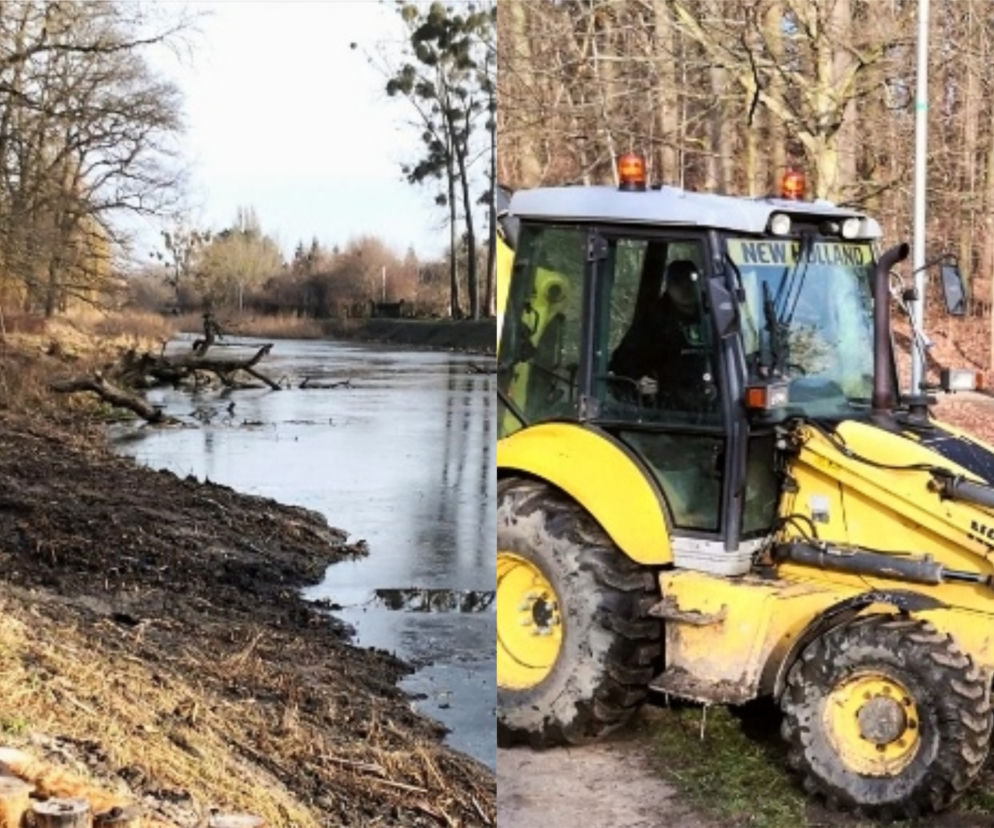 Toruń: Metamorfoza Parku Miejskiego na Bydgoskim Przedmieściu! Co się zmieni?