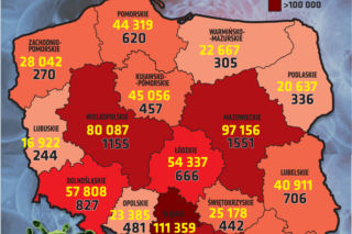 Koronawirus 19.11.2020: REKORDOWA LICZBA ZGONÓW w woj. łódzkim! Kim są ofiary COVID-19?