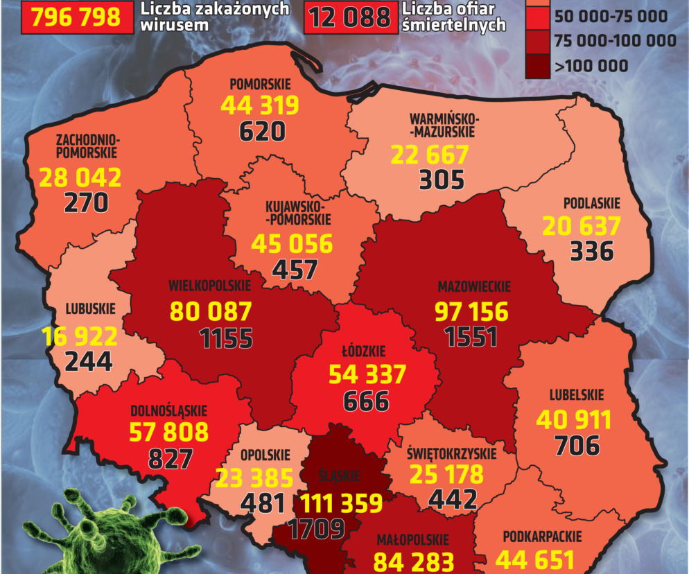 Koronawirus 19.11.2020: REKORDOWA LICZBA ZGONÓW w woj. łódzkim! Kim są ofiary COVID-19?