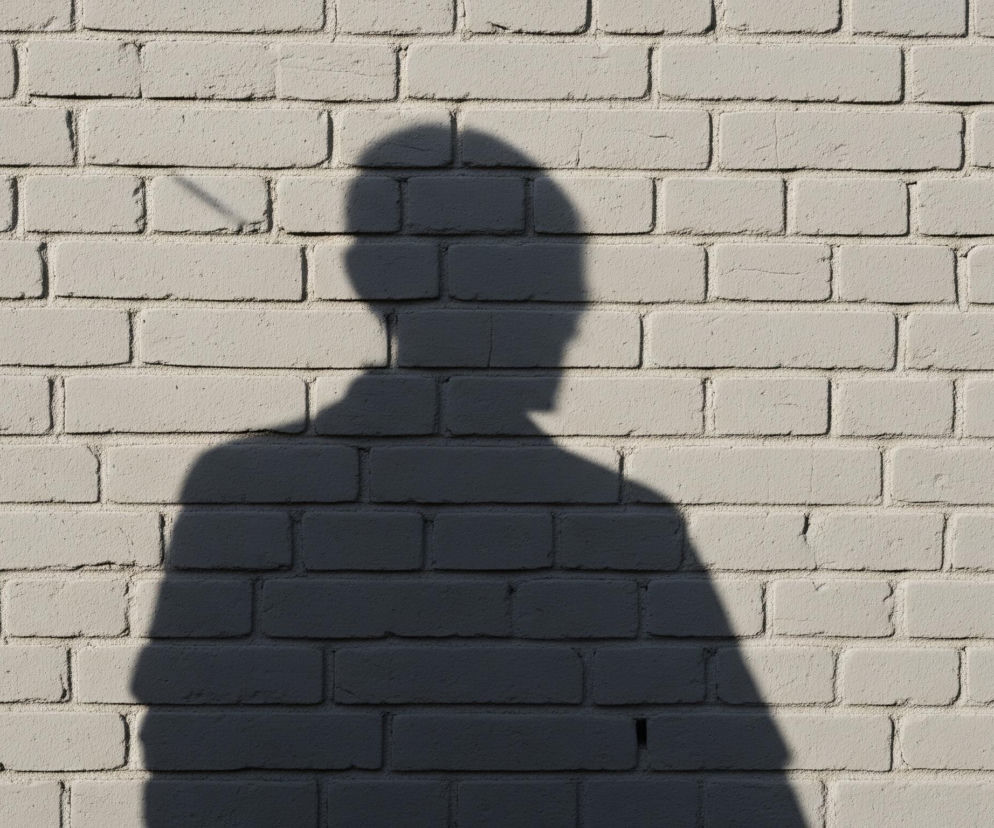 Na jasnej, beżowej ścianie z cegieł, wyraźnie widać duży, ciemny cień ludzkiej postaci, obejmujący centralną część obrazu. Cień przedstawia głowę i ramiona osoby, z zaokrągloną linią barków i lekko uniesioną głową, skierowaną w lewą stronę. Cegły są ułożone w regularne rzędy, a fugi pomiędzy nimi są ciemniejsze, co podkreśla ich teksturę, natomiast kilka cegieł wykazuje drobne pęknięcia.