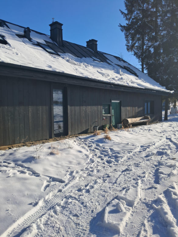 Remont chyży łemkowskiej w Hańczowej