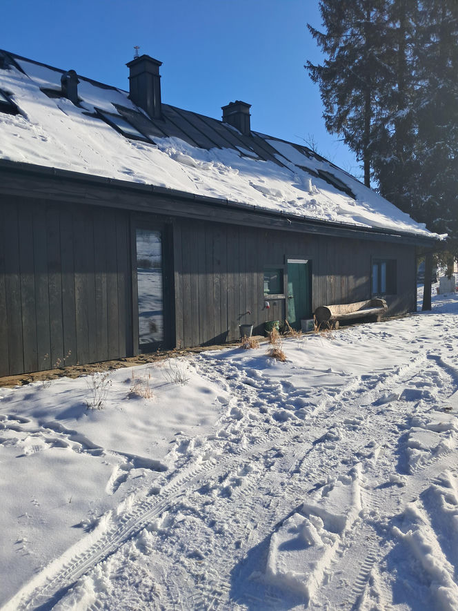 Remont chyży łemkowskiej w Hańczowej