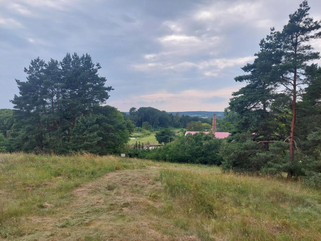 Akcja na polu, gdzie znaleziono Wampirkę z Pnia. Młodzi chodzili z detektorami, niedługo wracają tam archeolodzy