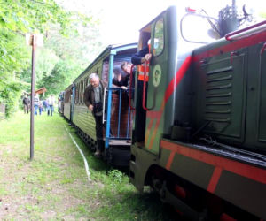 Kolejką wąskotorową przez Puszczę Białowieską
