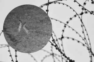 Niecodzienna sytuacja na polskiej granicy