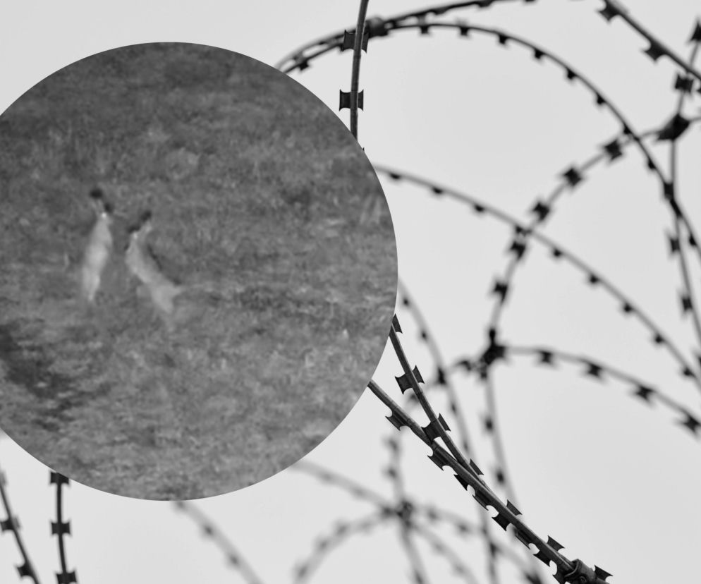 Niecodzienna sytuacja na polskiej granicy