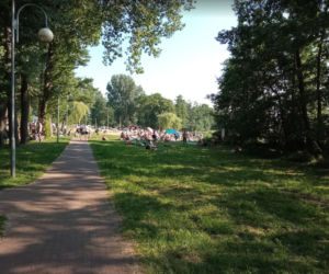 Plaża w Osiecznej